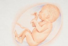 教你如何辨別胎兒性別