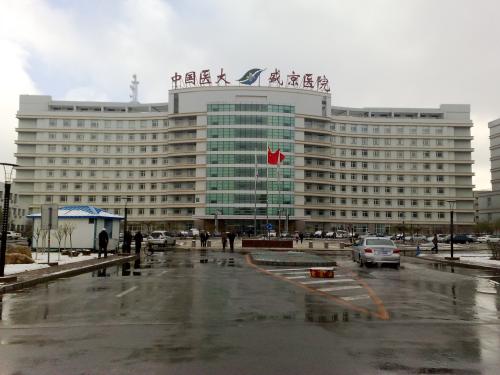 中國醫(yī)科大學附屬盛京醫(yī)院